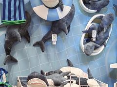 -宜家家居(四元桥商场店)