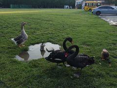 -蓝地时尚庄园(北京清河营地铁站店)