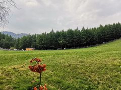 -驼梁风景区