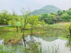 -西湖风景区-江洋畈生态公园