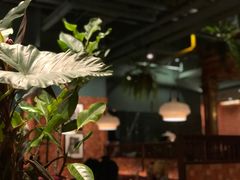 -星叶·东南亚料理(宁波万象汇店)