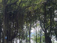 -海珠湖公园