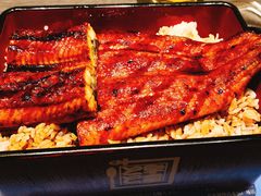 双层鳗鱼重-名代宇奈备长炭烧鳗鱼居酒屋