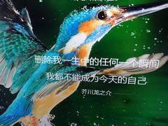 -锦什坊街叁拾伍号大厦