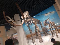 -国家自然博物馆