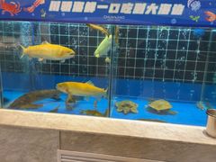 -川骄海鲜自助(亚运村店)