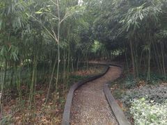 -菊花台公园