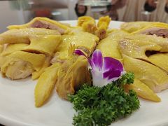 白切阳山大扇鸡-上水酒家(信德分店)
