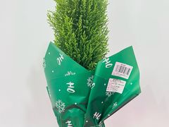 -天猫养车贴膜轻改·蓝电(优匹康桥东路店)