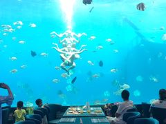 -瑞德姆美人鱼海底演艺主题餐厅(亚龙湾店)