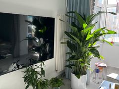 -一起装修网(集团店)
