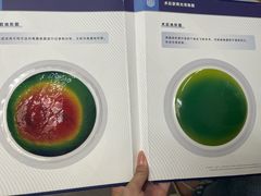 -武汉大学附属爱尔眼科医院(湖北总院)