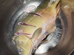 -万里闯关东铁锅炖菜馆(高新旗舰店)