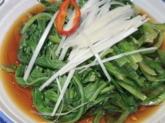 -同合居·非遗东北菜(新阳路店)