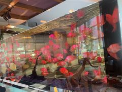 -怡咖啡海鲜自助餐厅(浦东香格里拉店)