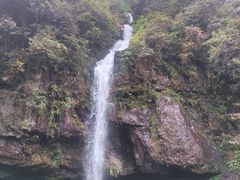-龙苍沟森林公园