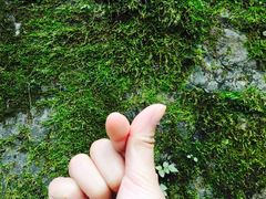 -汉中石门栈道景区