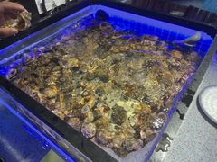 水产区-圣罗巴海鲜自助(黑金店)