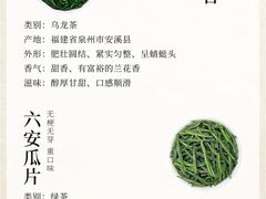 -中国茶叶博物馆(双峰馆区)