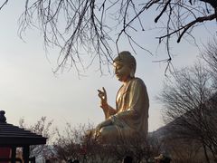 -大伊山景区