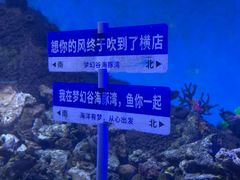 -横店影视城梦幻谷园区