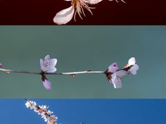 -颐和园