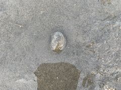-南汇新城海滩