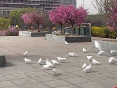 -山海广场