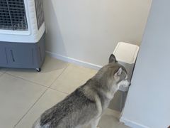 -怪兽屋·羊驼·猫咖·狗咖(俊华广场店)