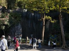 -西双版纳原始森林公园