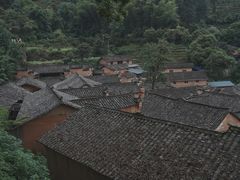 -杨家堂村