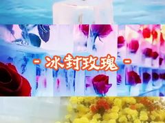 -密云玫瑰情园
