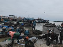 -硇洲岛旅游区