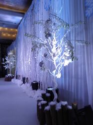 -北京嘉里大酒店·宴会厅婚宴·户外婚礼·生日宴