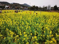 -红山村