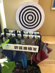 -碧莲盛·不剃发植发