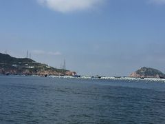 -枸杞岛