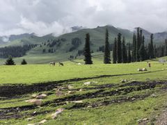 -新疆那拉提国家旅游度假区