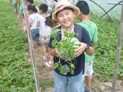 -南汇水蜜桃采摘(大团店)