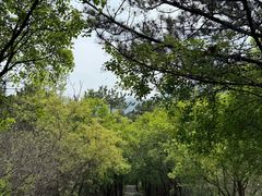 -京东石林峡风景区