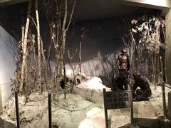 -虎头要塞