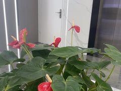 -常熟玉蕙口腔医院