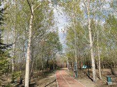 -绥化市森林植物园