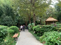 -望江楼公园