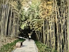 -龙头寺公园