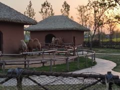 -祥源·阜阳生态乐园