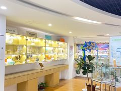 -天津大学爱尔眼科医院(天津院区)