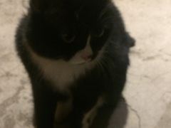 -么么咖啡(燕郊店)