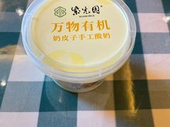自制酸奶-紫光园(马桥店)
