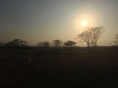 -盘龙城国家考古遗址公园